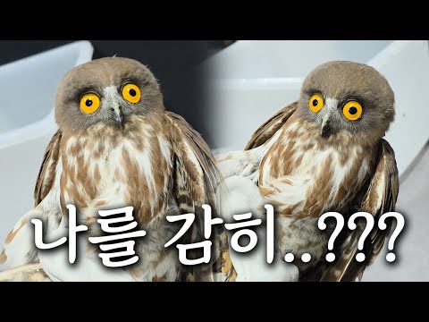 상상도 못한 촉법생물이 <strong>매장으로</strong> 왔습니다ㅋㅋㅋㅋ 어떻게 이런 생물이 존재하죠??