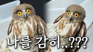 상상도 못한 촉법생물이 매장으로 왔습니다ㅋㅋㅋㅋ 어떻게 이런 생물이 존재하죠??