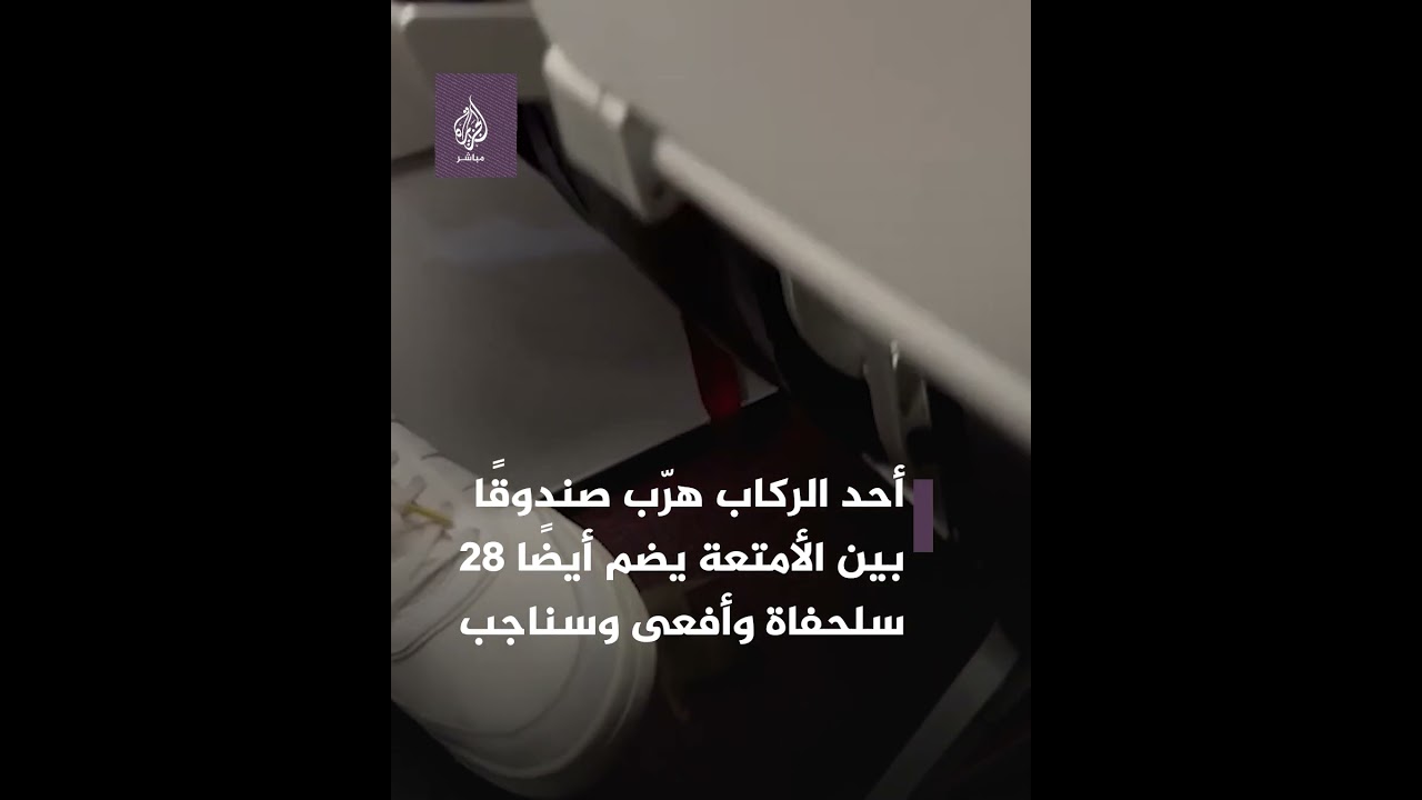 إرباك وذعر على متن طائرة تايلاندية.. والسبب: فأر وثعلب بحر!