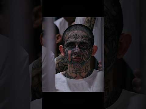 GANGSTERS PARADISE Equipou Youtubeshorts 