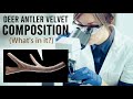 Composition of Deer Antler Velvet (What&#39;s in it?)