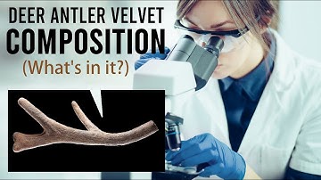 Composition of Deer Antler Velvet (What