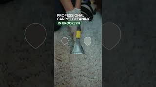 When your carpet’s so grey it makes you question if it was ever white! Let’s clean it back to life When your carpet’s so grey it makes you question if it was ever white! Let’s clean it back to life