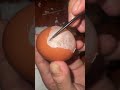 Raw egg peeling challenge : perfect Live #13