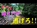 雨の林道で怪しい呻き声に驚き逃げる!その正体は!