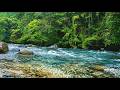 PEACEFUL STREAM SOUNDS - CALMING WATER FOR STUDY, SLEEP AND MEDITATION