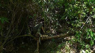 Survival Girl: Mastering Survival Skills - Part 3