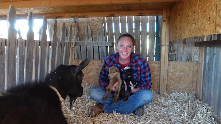 Meet Lillie's Kidd's!