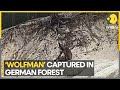 Mysterious naked wolfman spotted in germanys harz mountains  latest world news  wion