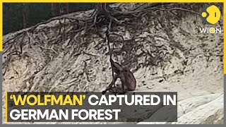 Mysterious naked 'wolfman' spotted in Germany's Harz mountains | Latest World News | WION