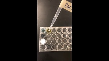 U3.A4 Ionic Reactions