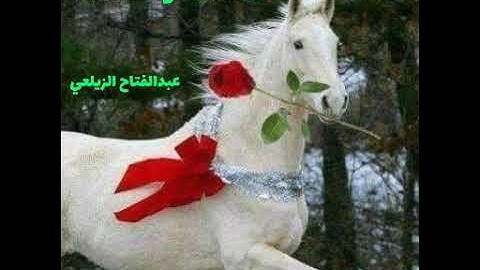 Gabay: Guur . بصوت القارئ عبد الفتاح الزيلعي