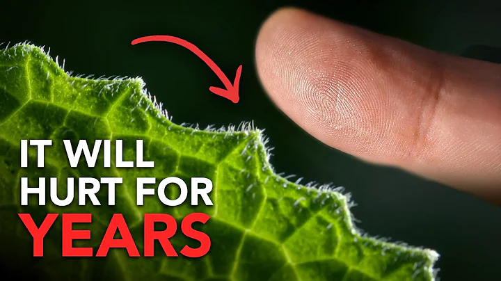 The Craziest Animal Facts thumbnail