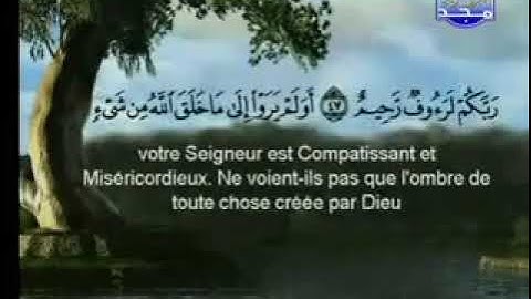 سورة النحل بصوت السديس والشريم