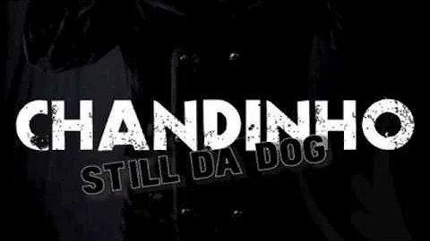CHANDINHO STILL DA DOG feat. btheboss N KIMBERLY
