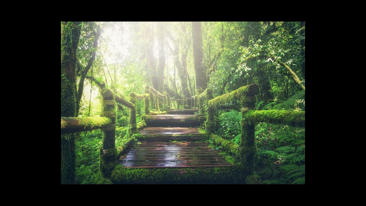 何もしたくない日のための音楽｜25分 YouTube 1080p フル HD