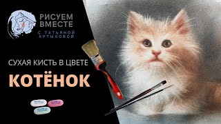 Что такое "сухая кисть"? Приемы рисования в цвете Что такое "сухая кисть"? Приемы рисования в цвете