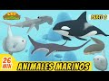 Animales marinos episodio compilacin parte 22 espaol  leo el explorador  animacin