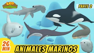Animales Marinos Episodio Compilación [Parte 2/2] (Español) - Leo, El Explorador | Animación