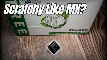 This Feel Like MX Blacks, but Budget - Wingtree YuYing Linear