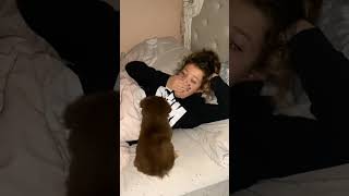 Download Lagu Phillies land All-Star closer Jhoan Duran ahead of MLB trade deadline 👀🔥 #JhoanDuran MP3