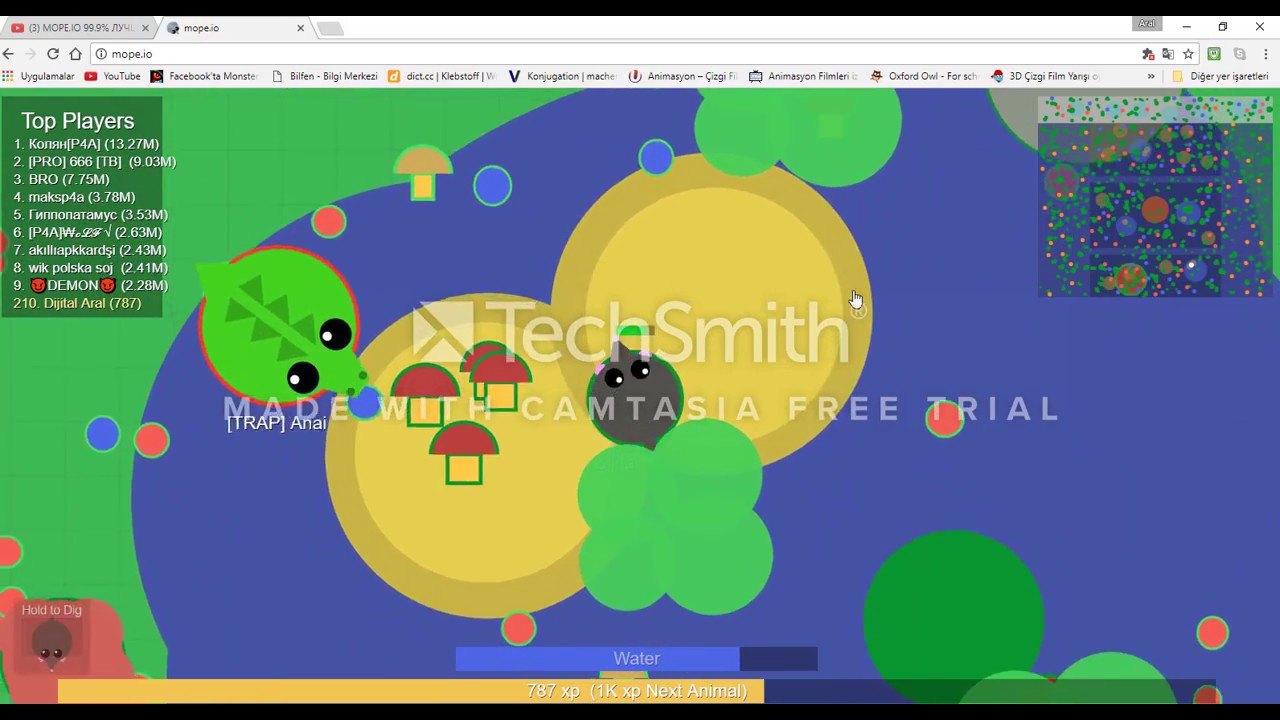 Mopeio Xp Fácil Cinemapichollu