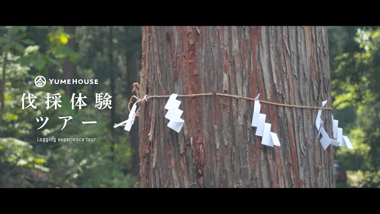 【絆を建てる夢ハウス】オーナー様限定イベント 夢ハウス育成林伐採体験ツアー - YouTube