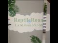 La reptileroom 2024 