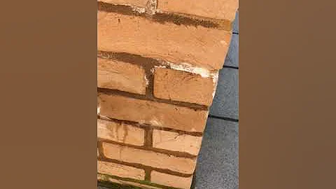 How to get rid of salt on your brickwork forever !! Cheap 😁