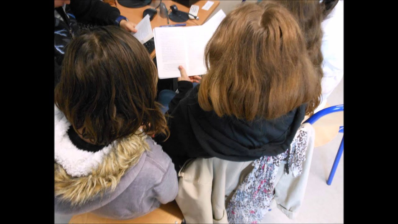 Momo Petit Prince Des Bleuets Questionnaire De Lecture