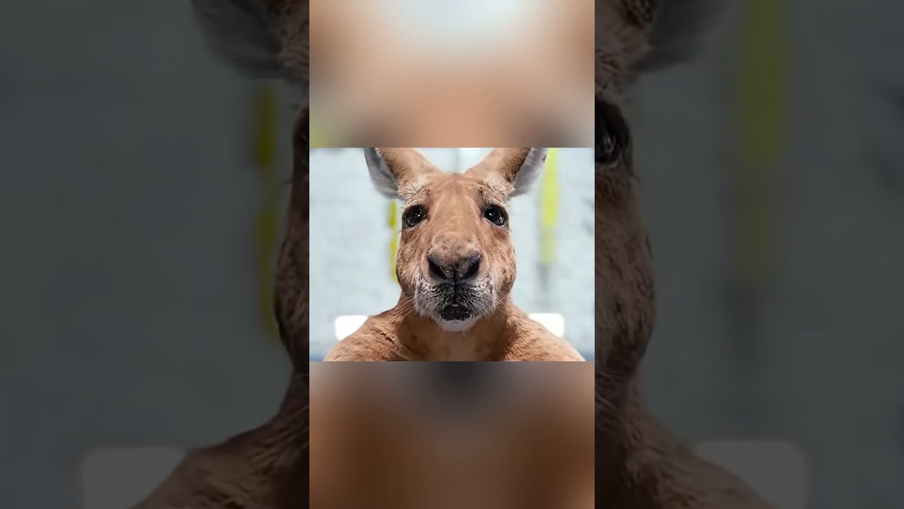 Когда два идиота застряли на Луне. 