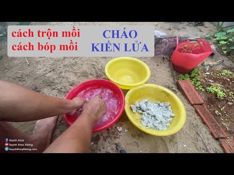Video CÁCH TRỘN MỒI CHÁO VÀ BÓP MỒI CHÁO VÀO CHÙM NHO , MỒI... - youtube