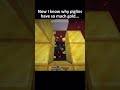 Minecraft piglin secret