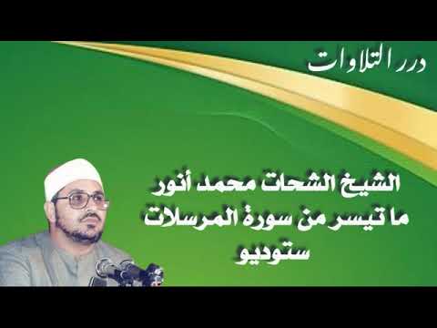 الشيخ الشحات محمد أنور ما تيسر من سورة المرسلات ستوديو