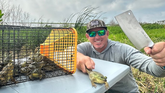 FISHING For BIG BULLFROGS?!?!?! INSANE CATCH, CLEAN, & COOK BBQ FROGLEGS!!!  DELICIOUS!!! 