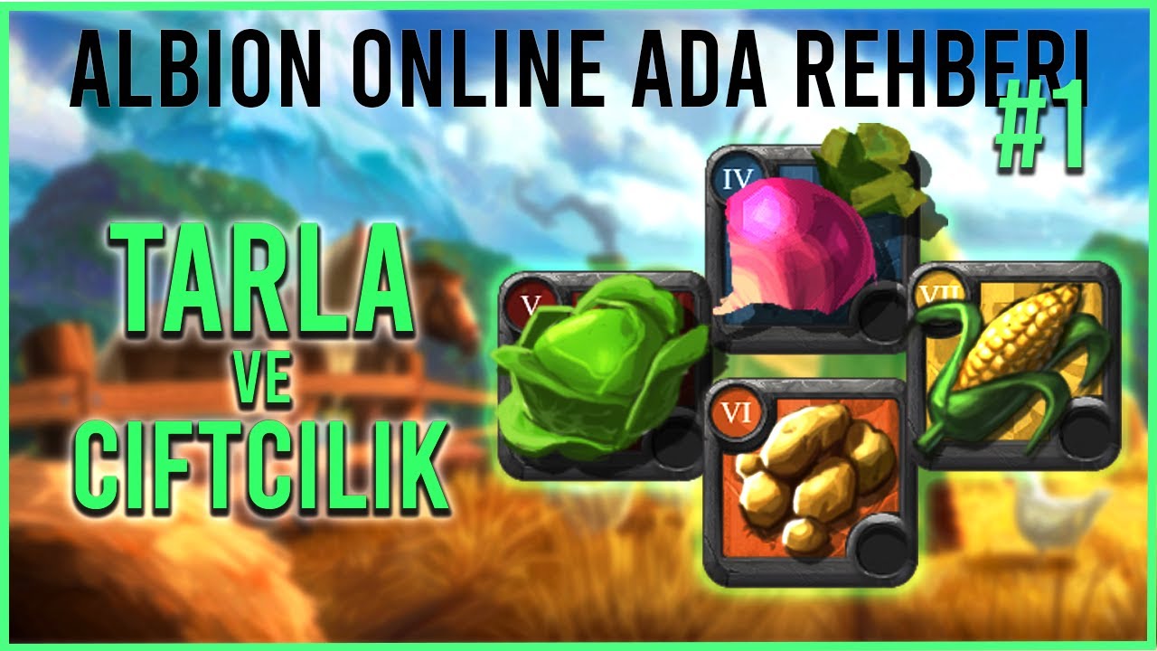 Albion Online Detaylı Ada Rehberi #1 | Tarla, Tarım ve Çiftçilik