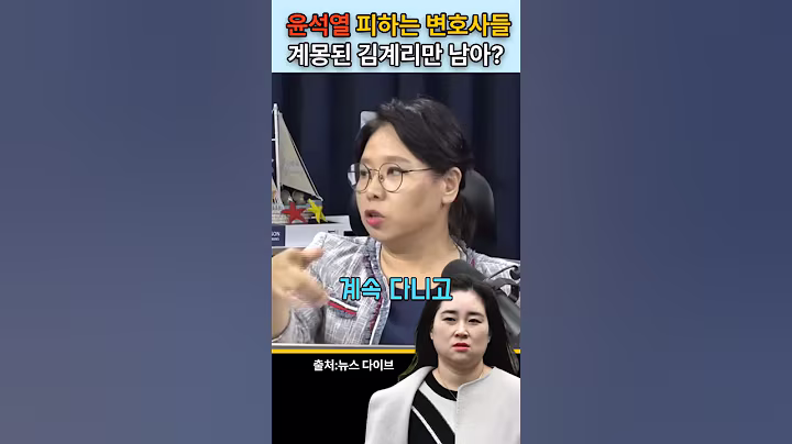 '윤석열 피하는 변호사들' 계몽된 김계리만 남아? #내란종식 #이재명 #특검