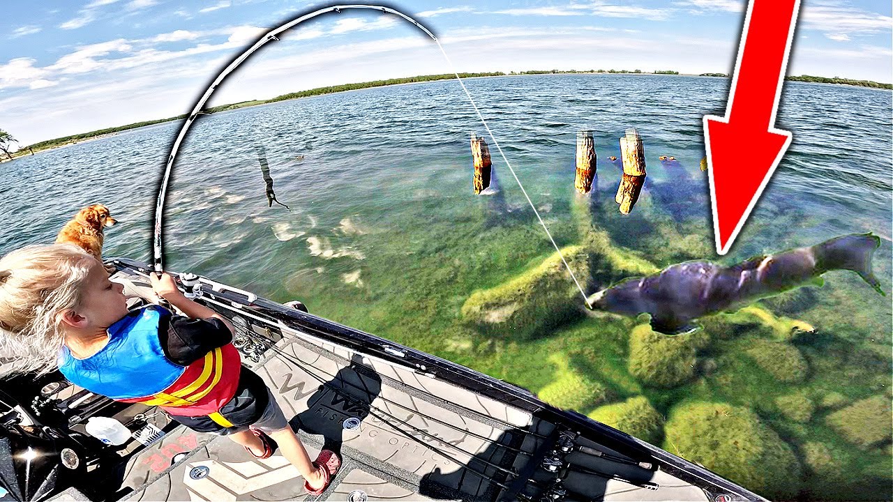 The Bass Fishing Community will HATE ME for this Catch n Cook…