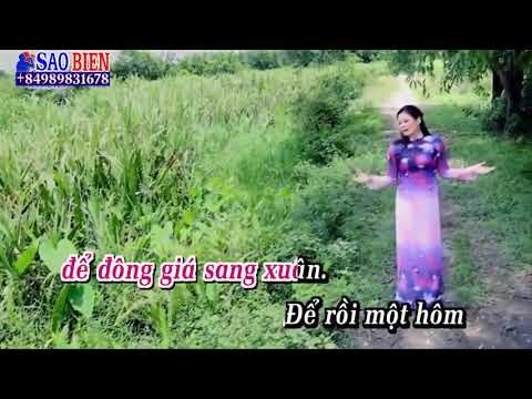 [Karaoke HD]Nửa Đời Lầm Tin - Trịnh Tuyết Hương