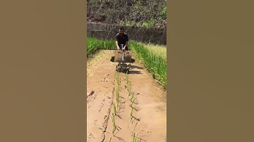 Two-row Walk behind Manual wet Rice seedling Transplanter | Manual paddy transplanter supplier
