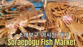 Soraepogu fish market the best sa seafoods 소래포구 어시장 개자