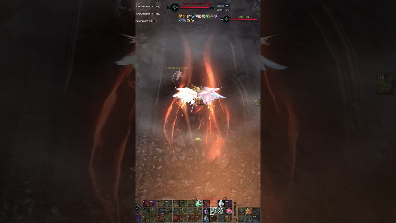 Aion Classic 3.0 малой потерялся / фир в уклон = чепион 