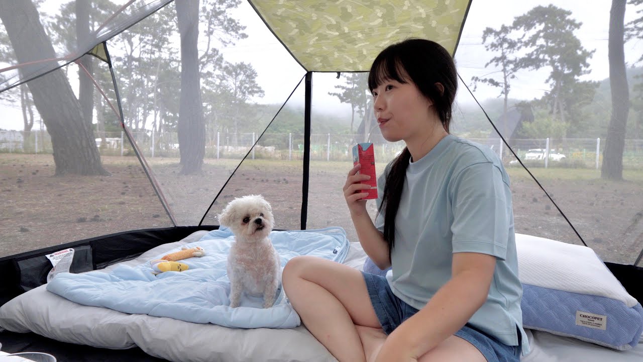 Уютный одиночный кемпинг у моря с милой собакой | Корейская девушка Camper