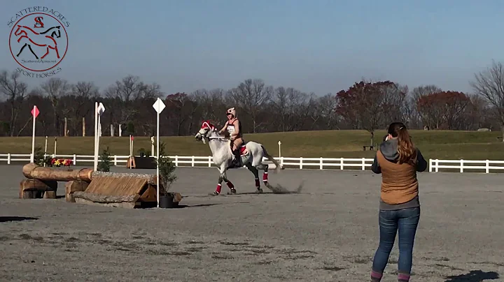 Loch Moy Donation Derby - Lisa Hannan riding Brewm...