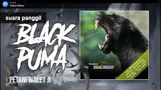 suara panggil SP. BLACK PUMA by. DIAN WALET