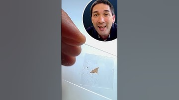 What I use MUSHROOMS for #fungi #food #microscope