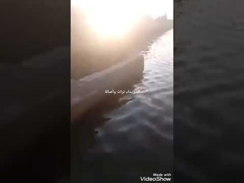 سجل على السطر حروف