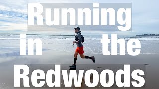 Muir Woods // Running in the Redwoods