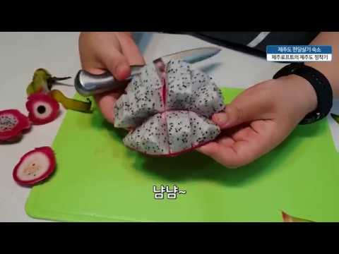 용과 자르는법 자르기 쉬워요 How to cut a dragon fruit