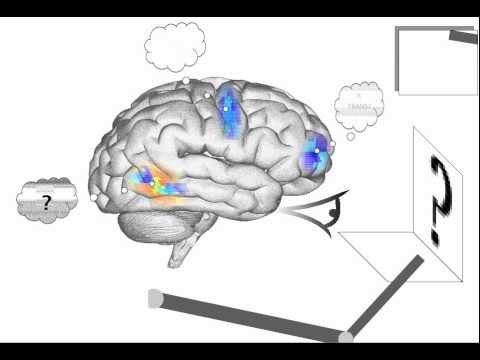 Spaun - Digit recognition